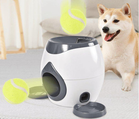 Automatic Pet Training And Feeding System-0