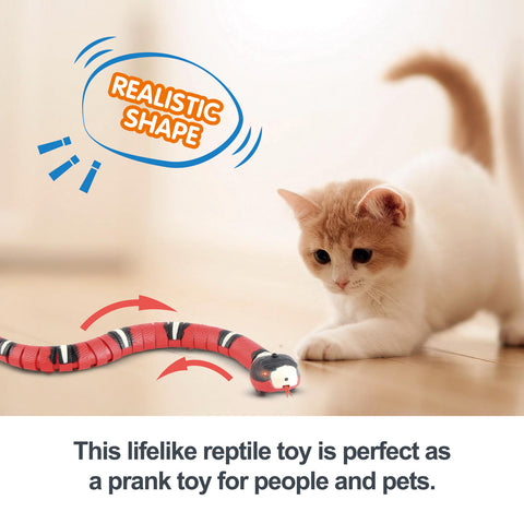 Smart Sensing Interactive Pet Toy with USB for charging