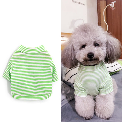 Cotton Casual Dog Tees