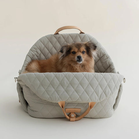 Durable Nylon Pet Carrier for On-the-Go Comfort