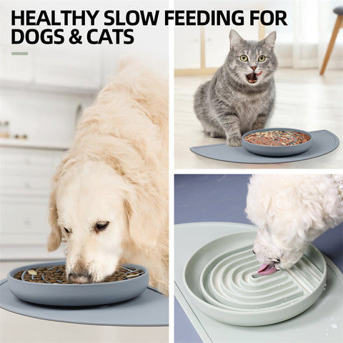 Pet Slow Food Bowl