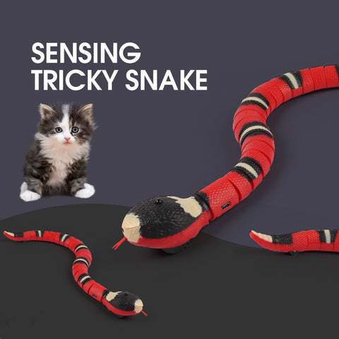 Smart Sensing Interactive Pet Toy with USB for charging