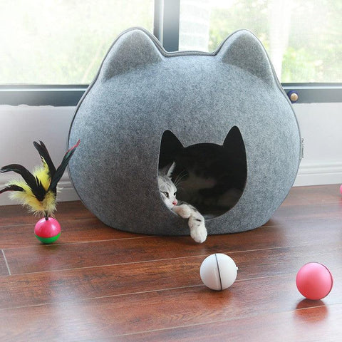 Cozy Haven Cat House & Litter Combo-0