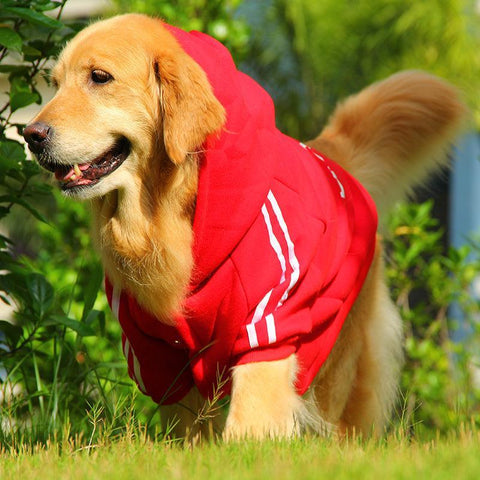 Cozysport Pet Cotton-Padded Clothes: Stylish And Warm Pet Apparel For Every Season-3