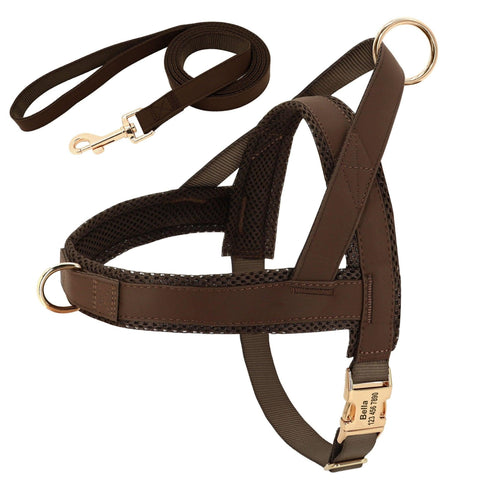 Customizable Pet Harness And Leash Set-4