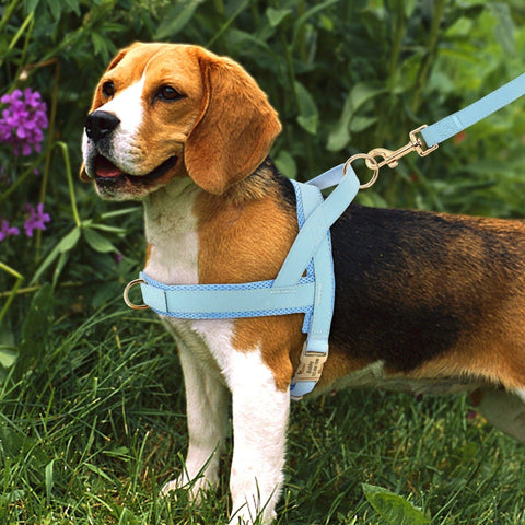 Customizable Pet Harness And Leash Set-0