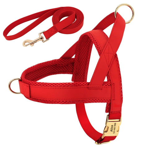 Customizable Pet Harness And Leash Set-3